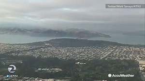 74K views · 2.3K reactions | A curious raven photobombs a weather forecast from KTVU Fox 2 in San Francisco: | AccuWeather | Facebook