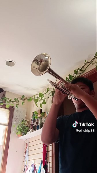 Carnival of Venice Finale: Embracing Imperfection