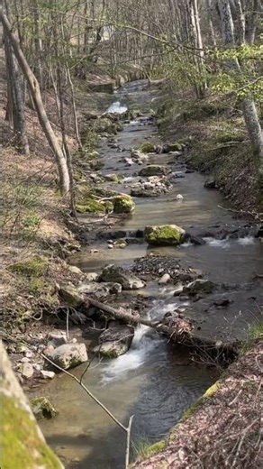 Скрита рекичка край затворения Върбишки проход 🌿
