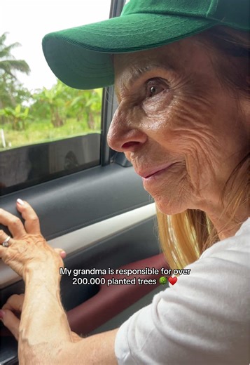 Impact of Charity: 200,000 Trees Planted in Nigeria