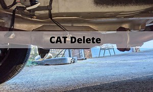 CAT Delete or Gutting: Pros, Cons, Performance and Cost - Autocornerd