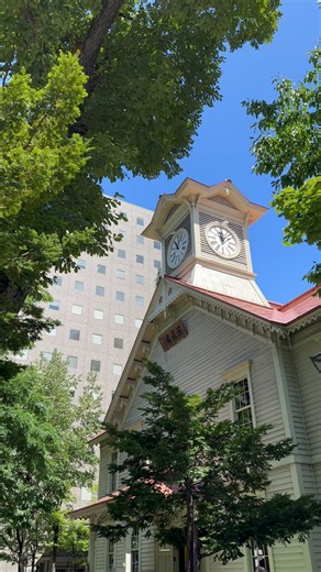 夏の札幌市時計台の光景 - 2026年8月2日 / iPhone 14 Pro (Short video) #北海道 #札幌時計台 #観光スポット