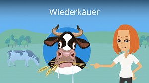 Wiederkäuer • Wiederkäuermagen, Tiere