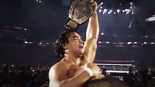 18K views · 237 reactions | 10 Best WWE Matches Of The 1980s | Cultaholic Wrestling | Facebook