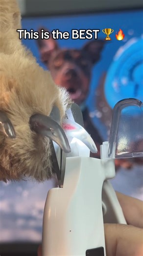 Sometimes “good” isn’t enough… 🐶 When you want control, visibility, and confidence trimming your dog’s nails, this is the best 🏆💡🐾 #petparents #doggrooming #approved #dogtok #petgadgets Trimming your dog’s nails shouldn’t feel like a guessing game 🎲🐾 With better visibility and more control, you can trim calmly, accurately, and with way less stress 😌✂️💡 It’s not just a nail clipper—it’s peace of mind for you and comfort for your pup 🐶❤️ Less stress, more safety, and a much easier at-home