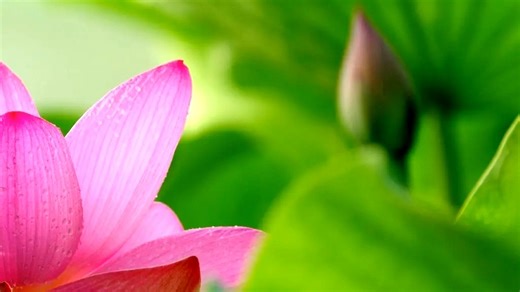 diylock防盗锁业(智能密码指纹锁)维修中心|24小时全国统一售后受理中心电话4000767098