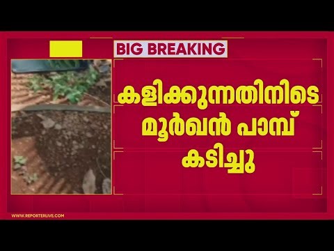 കാസര്‍കോട് നാലര വയസുകാരന് പാമ്പുകടിയേറ്റു; കളിക്കുന്നതിനിടെ മൂര്‍ഖന്‍ പാമ്പ് കടിച്ചു| Kasaragod