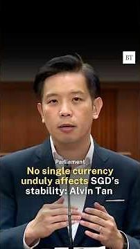 No single currency unduly affects SGD’s stability: Alvin Tan