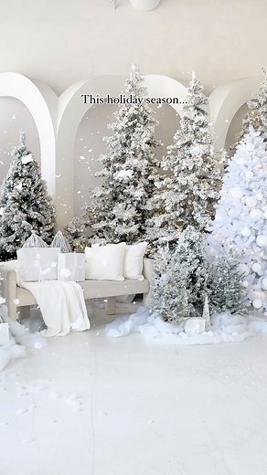 STUDIO RENTAL SPACE IN TORONTO | FROZEN IN THE CONSERVATORY ❄️ Welcome to a magical winter forest, straight out of our beloved movies and cartoons. This season, we’ve... | Instagram