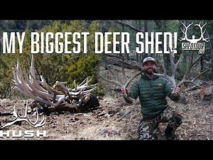 FINDING GIANT DEER SHEDS IN ELK COUNTRY | SHEDTOUR S5EP4