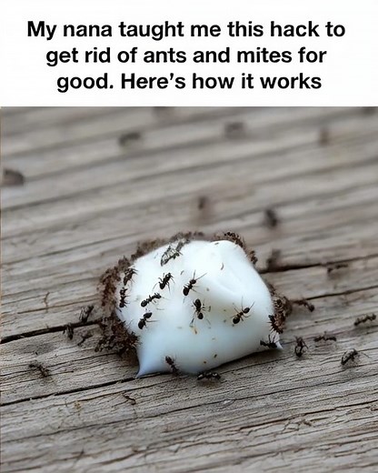 114K views · 240 reactions | It might sound strange BUT | Easy craft | Facebook