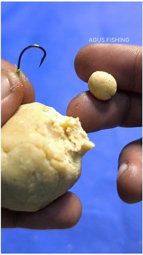 How To Install Fishing Bait To a Hook #fishing #fishingknot #fishingknottutorial #fishingBait #fishingtips #tutorial #fishingvideos #mancing #reel #reels #fyp #reelsfypシ゚ #viral #trending #fypシ゚ #reelsviral #reelfyp #foryou | Agus Subarna