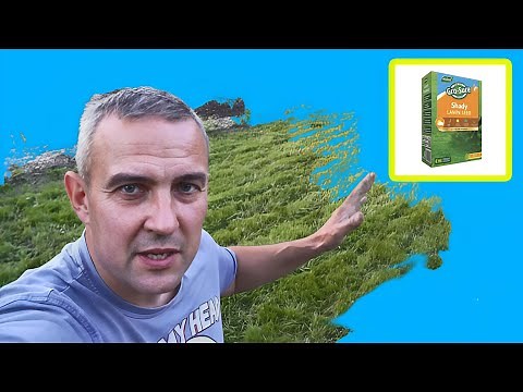 How to Grow Grass Seed