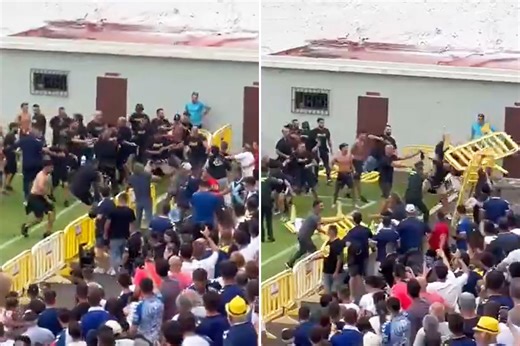 Police spring into action as around 100 hooligans clash before 'friendly'