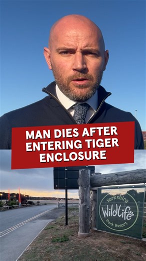 Officials have confirmed that the tiger involved in the Yorkshire Wildlife Park incident will not be put down. It is still unknown why the man entered the enclosure