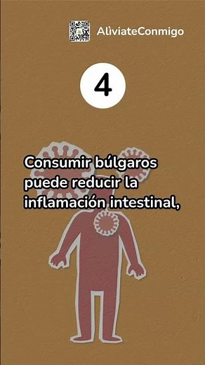 ¿Para que sirven los Bacilos Búlgaros? Descúbrelo