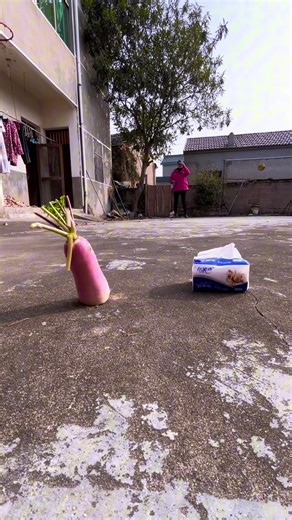 Guide to Lure Fishing and Making Techniques