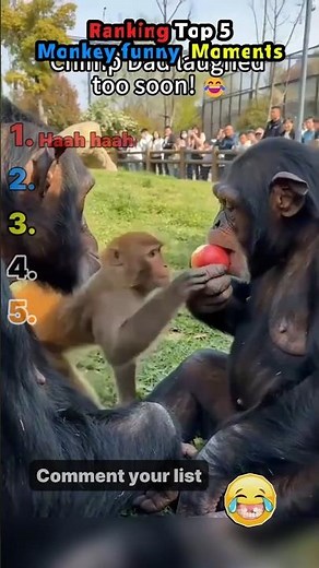 Top 5 funniest monkey moments you can't miss! 🤣 #monkey #funny #viral