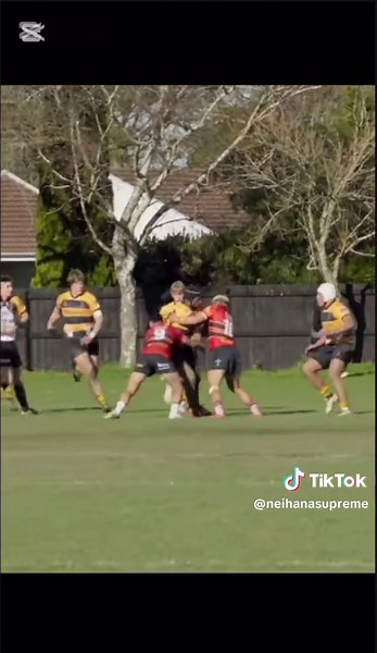 Exploring Goat Types and Their Significance in Culture