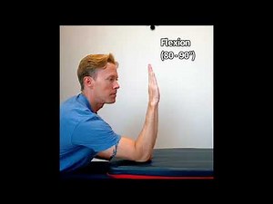 🔹 Wrist Mobility Explained | Radiocarpal Joint Anatomy & Movement (Ellipsoid Joint)