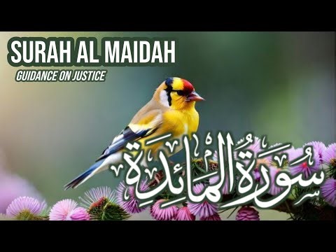 Surah Al-Ma’idah Full | Surah 5 | Beautiful Voice Recitation | #quran #surahmaida #surahmaidah