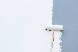 What Is High Hide White Paint? (Find Out Now!)