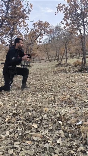 Ninjutsu, the original martial art / Ninja.Ninjutsu.Martial art #selfdefense #bujinkan #mma