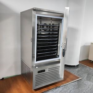 [Hot Item] 304 Stainless Steel Fast Cooling Upright Commercial Quick-Freeze Freshness Preservation