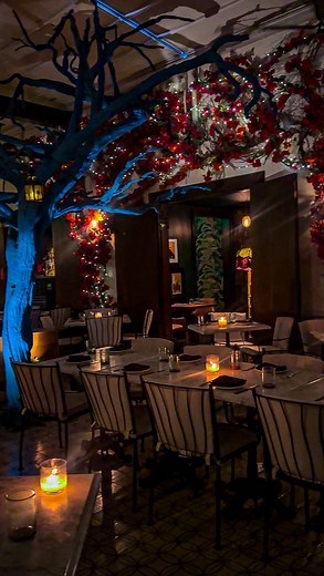 ✨ Indulge in an Over the Top Herradura Tequila Dinner at Te Deseo! Make it a Night to Remember with a Decadent Dinner, Dancing, & Perfectly Paired Tequila on September 27th! ✨ Experience an exclusive culinary event at Te Deseo’s HerraduraTequila Dinner on Wednesday 9/27! 🥃 The Herradura Dinner @tedeseodal is a memorable meal and SO much more! As always, the food will be flawless, plus with @herradurateq, you know there’s even more indulgence awaiting you. Enjoy a night full of phenomenal flavor