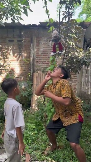 botak nyangkut di pohon