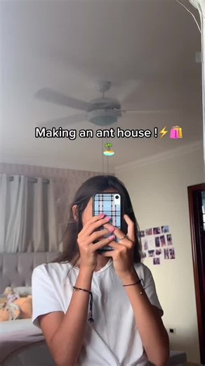 Creating a Fun Ant House Project