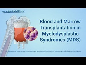 Blood and Marrow Transplant in MDS