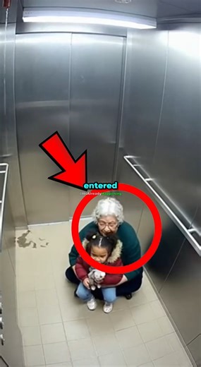 Elevator Floods While Grandma And Granddaughter Are Inside… And Then This Happened