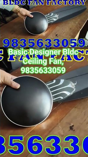 Basic Designer Bldc Ceiling Fan, 9835633059