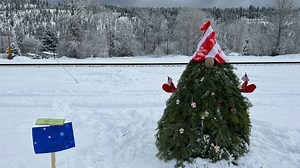 Students' gnome tree voted best in Troy