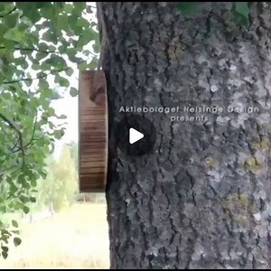 Small Viking Axe Game on Instagram: "Totally addictive, mini axe throwing from Sweden 🇸🇪 The small Viking axe game!"