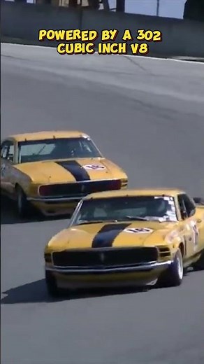 The Mustang Boss 302: Trans-Am’s Ultimate Race Legend! #cars #ford #mustang #fordmustang #musclecar