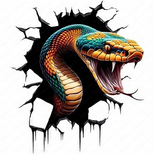 3D Snake Clipart | Reptile Art, High-quality Designs (digital Download) - Etsy