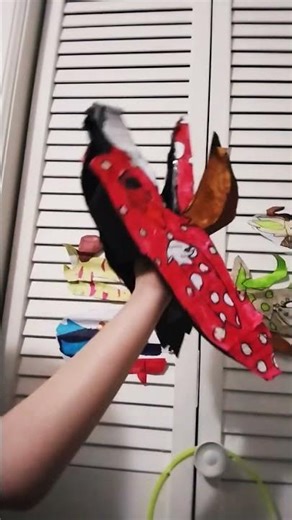 yes btw this was just filmed my window blinds were JUST CLOSED