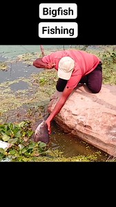 1.8M views · 10K reactions | #fbreels #reels #fishing | Abdul fishing | Facebook