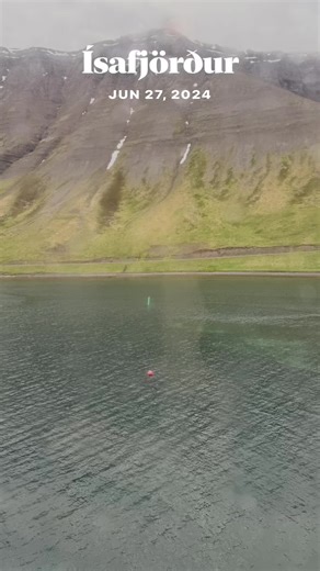 Honey Bee Cake on TikTok