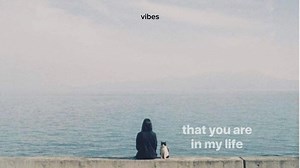 final chapter | V I B E S