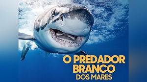 Shark Week Season 2014 Episode 1