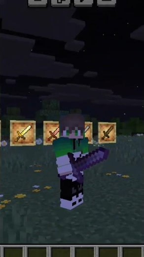 We forgot about the swords #minecraft