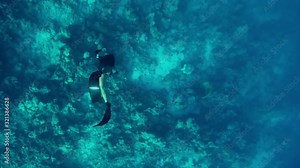 Female dives into the depth, high angle view. Free diver floats to the bottom of the sea