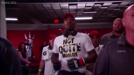 21K views · 482 reactions | The greatest fighter of all time  | MMA Tube | Facebook