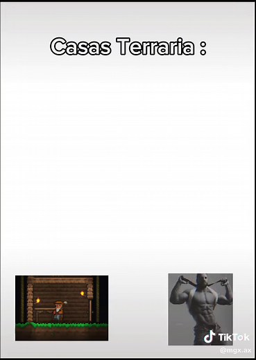 Nem é meme kk #terraria ##terrariamemes #fyp