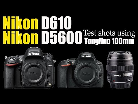 Nikon D610 and Nikon D5600 test shots using YongNuo 100mm