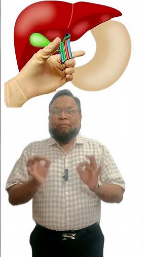 PRINGLE MANOUEVER #anatomylecture #neetpg #mbbs #crystalclearanatomy #mbbsanatomy