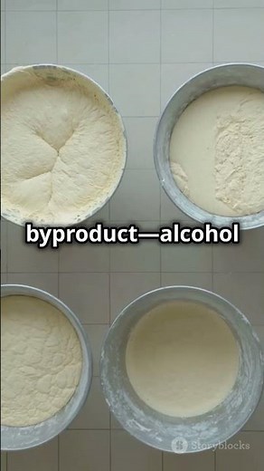How Yeast Turns Sugar into Alcohol: The Magic of Fermentation!
